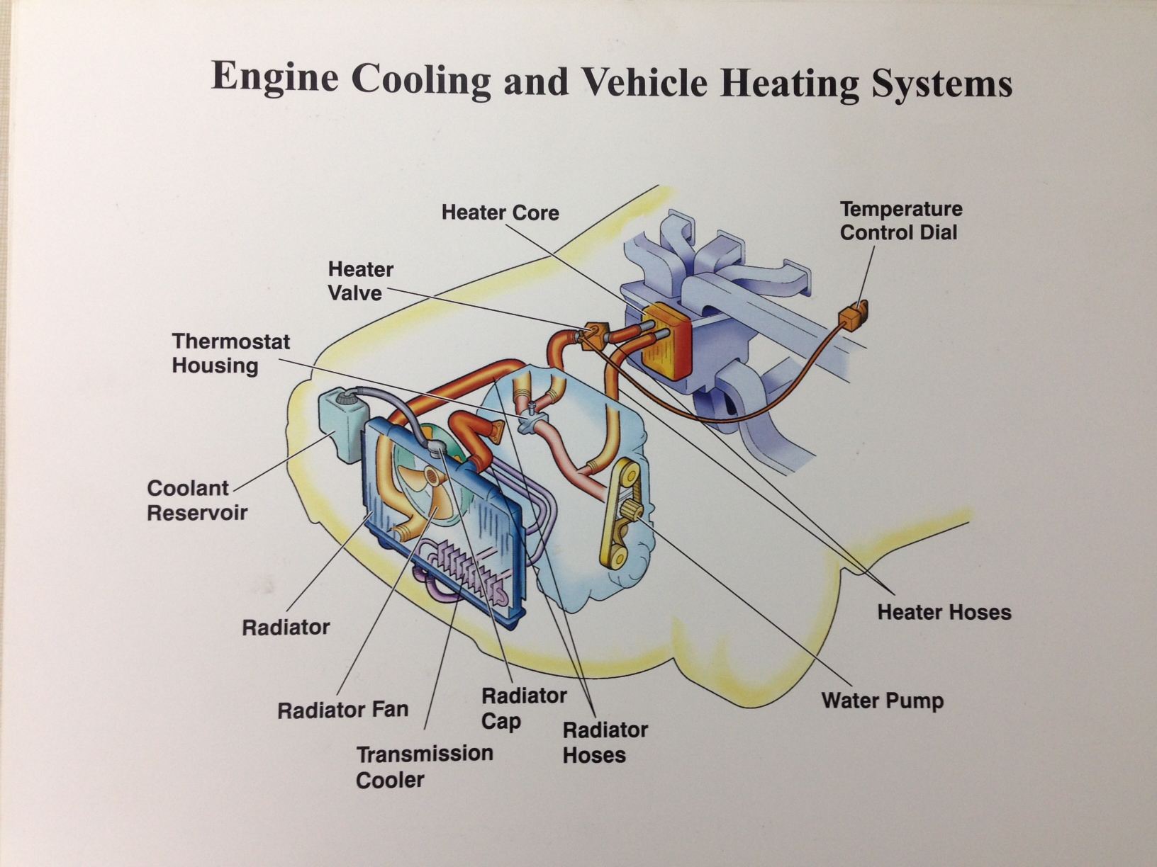 Engine Cooling